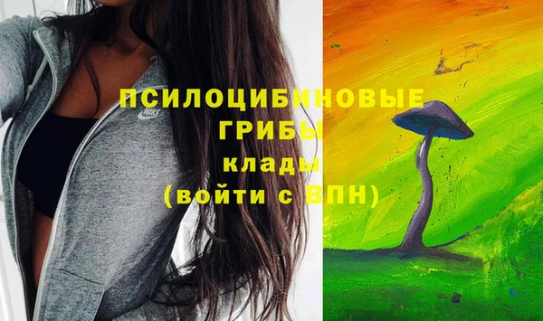 марки lsd Богородицк