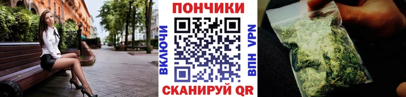 закладки  Городовиковск  Канабис марихуана 